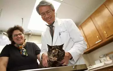 Carlos Yang DVM with a cat
