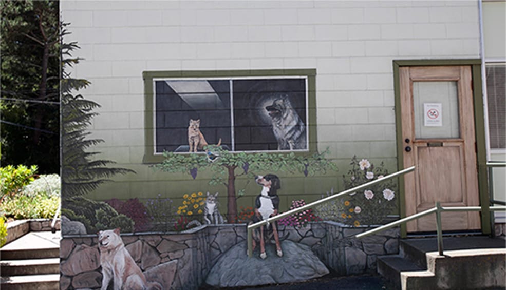 Exterior of our animal hospital in Oakland, CA