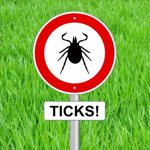 sign warning about ticks in grass